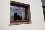 Auswahl Fenster